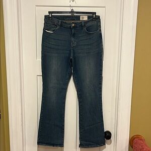 Elegant Indigo Flare Jeans